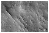New Dark Spot Crater