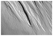 Sample Gigas Fossae