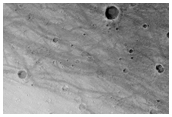 Attempt Imaging of Dust Devils Coordinated with MER Spirit Rover