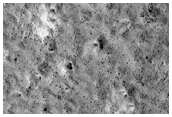 South Polar Monitoring of White Fans Feature