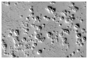 Ring/Cone Structures in the Tartarus Montes/Phlegra Dorsa Region