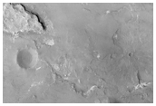 Light-Toned Layered Materials within Dissected Floor of Wislicenus Crater
