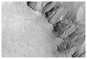 Looking For Gullies