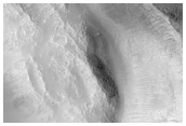 Looking For Gullies