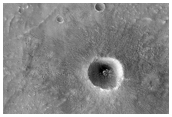 Fresh Impact with Many Secondary Craters in Acidalia Planitia