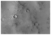 Sample Surface Texture and Morphology