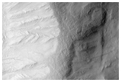 Gullies and Debris Flows in Unnamed Hellas Region Crater