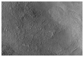 Looking For Gullies