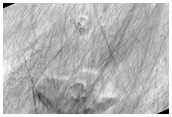 Malea Planum Mantled Terrain Over Muted Crater and Mound Topography