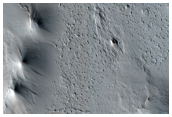 Ring and Cone Structures and Platy-Ridged Terrain in Amazonis Planitia