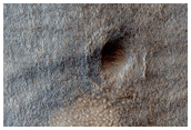 Proposed MSL Rover Landing Site in Hellas Basin/Dao Vallis
