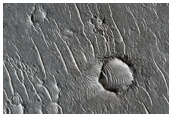 Proposed MSL Site in Isidis Basin Escarp