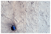 Loose Cluster of Zunil Crater Secondary Craters