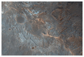 High Thermal-Inertia Terrace Blocks in Holden Crater