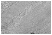 Fretted Terrain in Protonilus Mensae