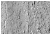Olympus Mons Lava Channels