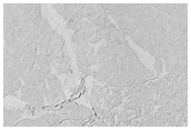 Elysium Planitia Platy Flows