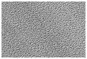 Residual Ice Texture