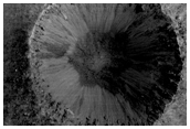 Winslow Crater - Very Fresh Crater Off Syrtis Major