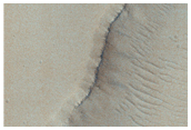 Survey of Tractus Fossae