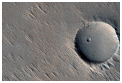 Proximal Section of A Long Lava Flow Near Ascraeus Mons