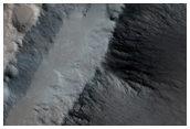 Elysium Mons Sample