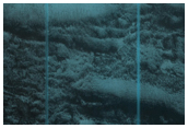 Survey of South Polar Layered Deposits
