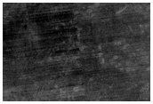 New Dark Spot Impact Crater