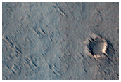 Volcanic Landforms South of Pavonis Mons