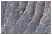 Sample Surface Texture and Morphology