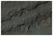 South Polar Cap