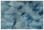 Ithaca Region Defrosted