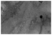 Sample Surface Texture