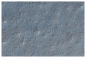 Sample Surface Texture
