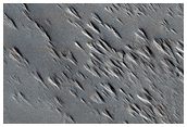 Proximal Section of Long Lava Flow Near Ascraeus Mons