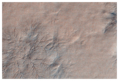 Monitor Seasonal Changes at A South Polar Site with Cracks and Gullies