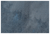 Polar Features