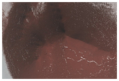 Mcmurdo Crater on the South Polar Layered Deposits