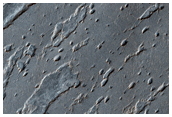 South Polar Remnants