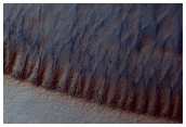 Cover A Subset of 44 Gullies Previously Identified in MOC Image M07-06139