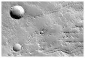 West Flank of Elysium Mons