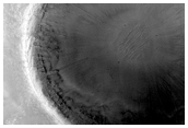 Fresh Crater in Syrtis Major