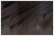 Looking for Gullies