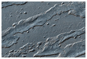 South Polar Remnants