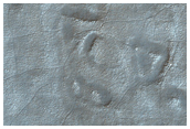 Starfish Feature Unfrosted