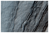 Polar Layered Deposit Stratigraphy Near Chasma Australe