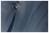 Looking for Gullies