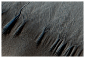 Polar Pit Gullies Similar to Those Seen in MOC Image R05-00513