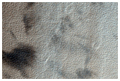 Looking for Gullies
