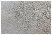Sample Eridania Scopulus